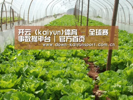 种植基地五