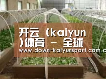 环境展示五